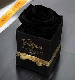   Box 1 Rosa Eterna Negra